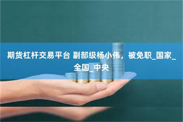 期货杠杆交易平台 副部级杨小伟，被免职_国家_全国_中央