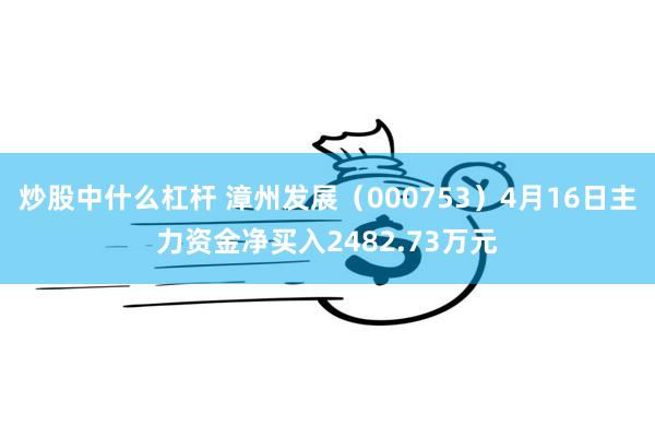 炒股中什么杠杆 漳州发展（000753）4月16日主力资金净买入2482.73万元