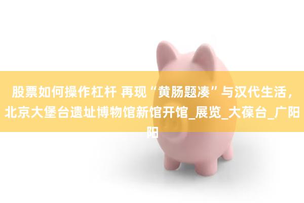 股票如何操作杠杆 再现“黄肠题凑”与汉代生活，北京大堡台遗址博物馆新馆开馆_展览_大葆台_广阳