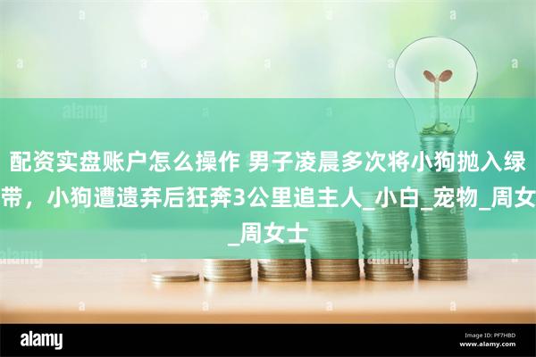 配资实盘账户怎么操作 男子凌晨多次将小狗抛入绿化带，小狗遭遗弃后狂奔3公里追主人_小白_宠物_周女士