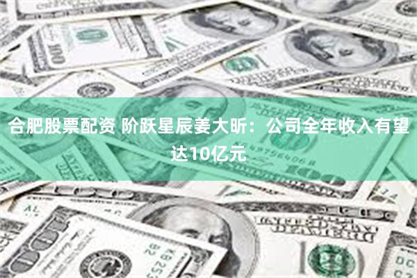 合肥股票配资 阶跃星辰姜大昕：公司全年收入有望达10亿元
