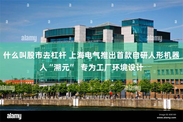 什么叫股市去杠杆 上海电气推出首款自研人形机器人“溯元”  专为工厂环境设计