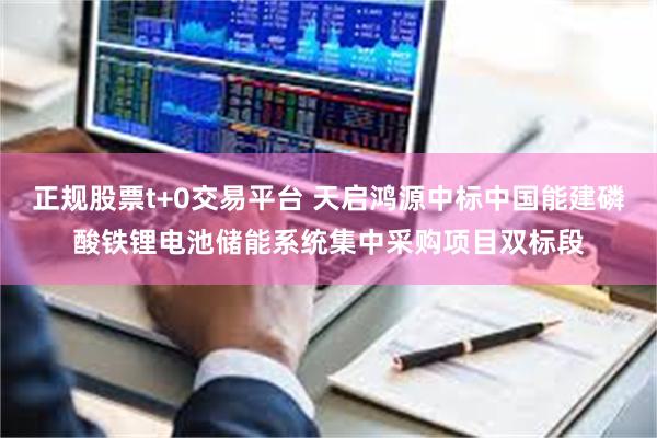 正规股票t+0交易平台 天启鸿源中标中国能建磷酸铁锂电池储能系统集中采购项目双标段