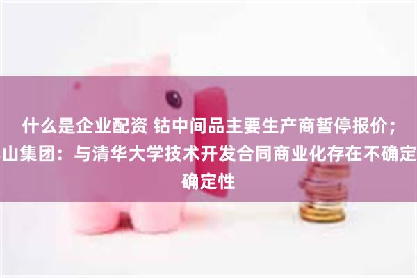什么是企业配资 钴中间品主要生产商暂停报价；丰山集团：与清华大学技术开发合同商业化存在不确定性